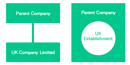 Parent company, UK company, UK establishment diagram